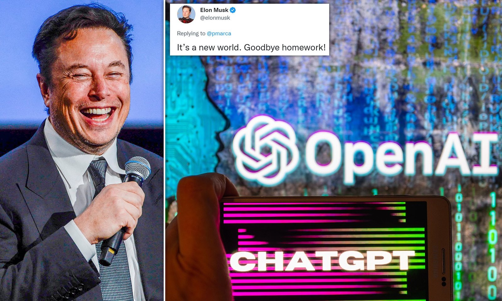 I studied ChatGPT, when you were partying: Elon Musk takes a dig at netizens criticising futuristic tech