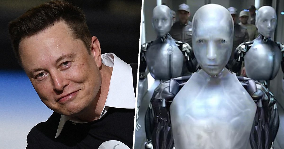 "He Knows What He's Talking About": Elon Musk On AI 'Godfather' And His Warning